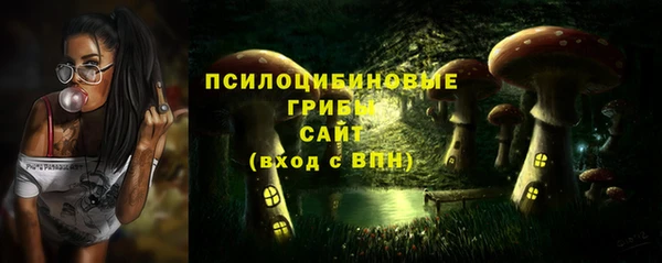 СК Лиски
