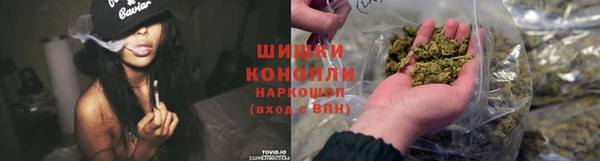 СК Лиски