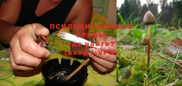 СК Лиски