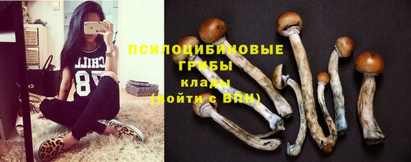 СК Лиски